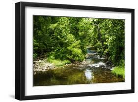 Small Mountain Stream I-Alan Hausenflock-Framed Photographic Print