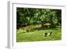 Small Mountain Stream II-Alan Hausenflock-Framed Photographic Print