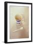 Small Mug and Plastic Spoon-Den Reader-Framed Photographic Print