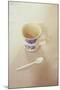 Small Mug and Plastic Spoon-Den Reader-Mounted Photographic Print