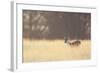 Small One-Mark Bridger-Framed Art Print