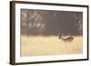 Small One-Mark Bridger-Framed Art Print