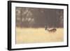 Small One-Mark Bridger-Framed Art Print