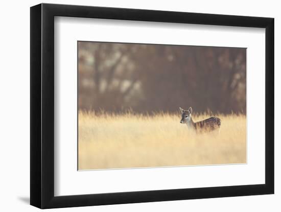 Small One-Mark Bridger-Framed Art Print