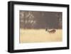 Small One-Mark Bridger-Framed Art Print