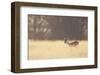 Small One-Mark Bridger-Framed Art Print