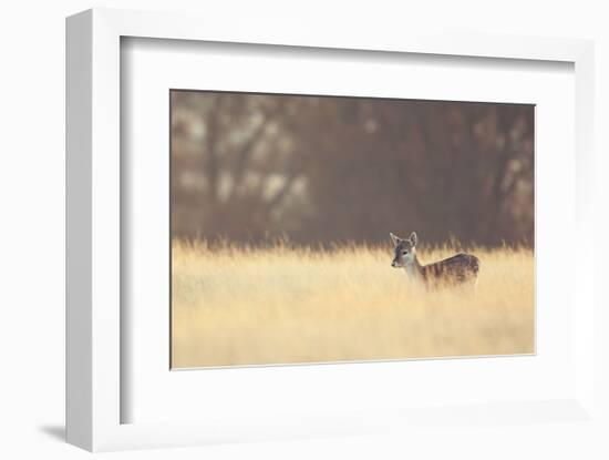 Small One-Mark Bridger-Framed Art Print