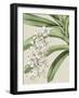 Small Orchid Blooms I-Vision Studio-Framed Art Print