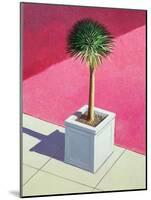 Small Palm, 1995-Lincoln Seligman-Mounted Giclee Print