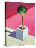 Small Palm, 1995-Lincoln Seligman-Stretched Canvas