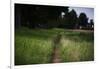 small path through a meadow-Benjamin Engler-Framed Photographic Print