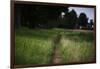 small path through a meadow-Benjamin Engler-Framed Photographic Print