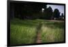 small path through a meadow-Benjamin Engler-Framed Photographic Print