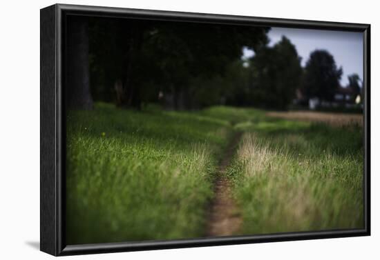 small path through a meadow-Benjamin Engler-Framed Photographic Print