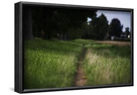 small path through a meadow-Benjamin Engler-Framed Photographic Print