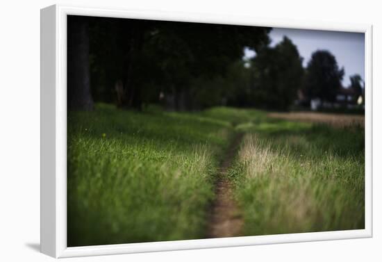 small path through a meadow-Benjamin Engler-Framed Photographic Print