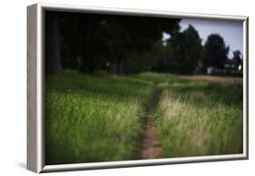 small path through a meadow-Benjamin Engler-Framed Photographic Print