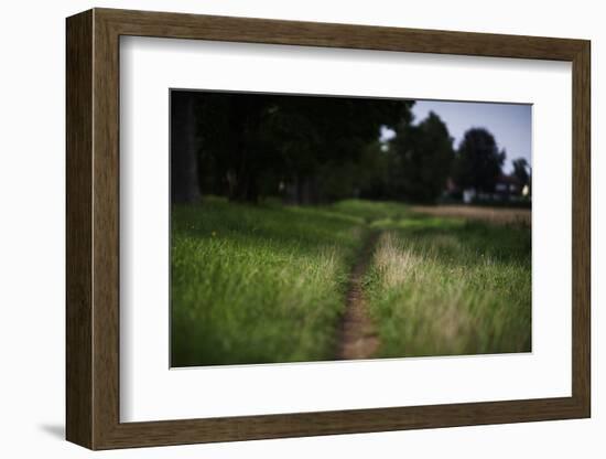 small path through a meadow-Benjamin Engler-Framed Photographic Print