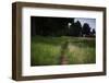 small path through a meadow-Benjamin Engler-Framed Photographic Print