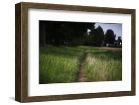 small path through a meadow-Benjamin Engler-Framed Photographic Print