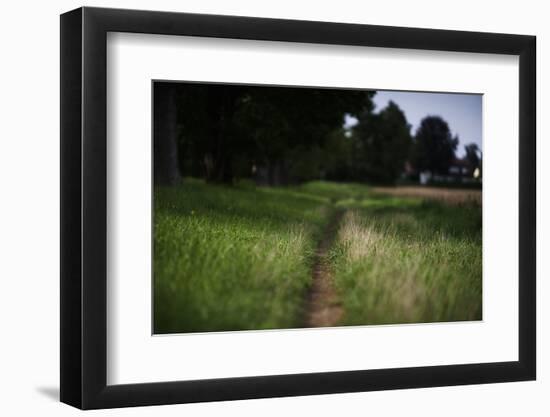 small path through a meadow-Benjamin Engler-Framed Photographic Print