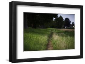 small path through a meadow-Benjamin Engler-Framed Photographic Print