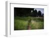 small path through a meadow-Benjamin Engler-Framed Photographic Print