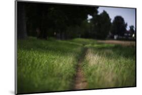 small path through a meadow-Benjamin Engler-Mounted Photographic Print