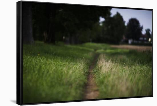 small path through a meadow-Benjamin Engler-Framed Stretched Canvas