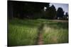 small path through a meadow-Benjamin Engler-Stretched Canvas