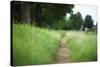 small path through a meadow-Benjamin Engler-Stretched Canvas