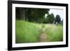 small path through a meadow-Benjamin Engler-Framed Photographic Print