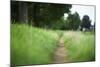 small path through a meadow-Benjamin Engler-Mounted Photographic Print