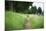 small path through a meadow-Benjamin Engler-Mounted Photographic Print