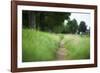 small path through a meadow-Benjamin Engler-Framed Photographic Print