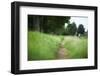 small path through a meadow-Benjamin Engler-Framed Photographic Print