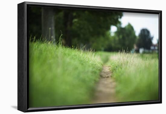 small path through a meadow-Benjamin Engler-Framed Photographic Print