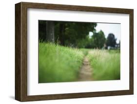 small path through a meadow-Benjamin Engler-Framed Photographic Print