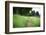 small path through a meadow-Benjamin Engler-Framed Photographic Print