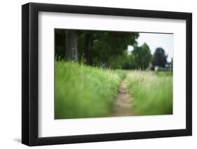 small path through a meadow-Benjamin Engler-Framed Photographic Print