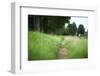 small path through a meadow-Benjamin Engler-Framed Photographic Print