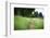 small path through a meadow-Benjamin Engler-Framed Photographic Print