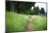 small path through a meadow-Benjamin Engler-Mounted Photographic Print