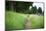 small path through a meadow-Benjamin Engler-Mounted Photographic Print