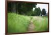 small path through a meadow-Benjamin Engler-Framed Photographic Print