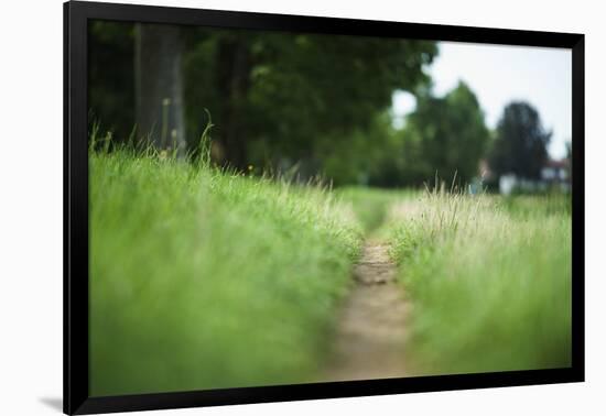 small path through a meadow-Benjamin Engler-Framed Photographic Print