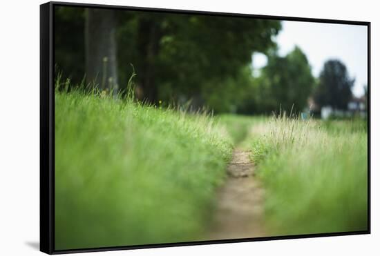small path through a meadow-Benjamin Engler-Framed Stretched Canvas