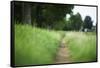 small path through a meadow-Benjamin Engler-Framed Stretched Canvas