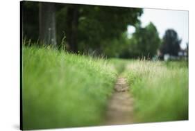 small path through a meadow-Benjamin Engler-Stretched Canvas