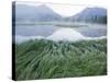 Small Peaks in Chokosna River Valley, Alaska-Ethan Welty-Stretched Canvas